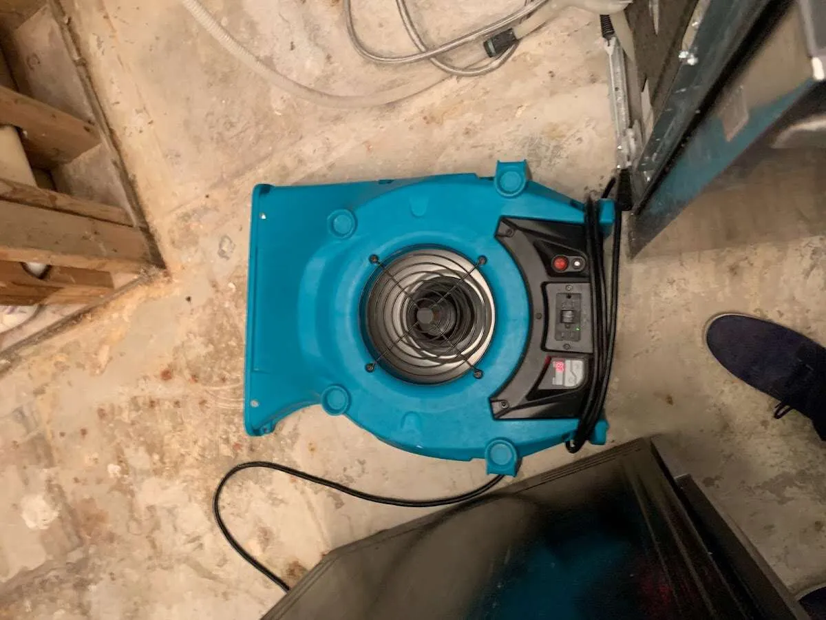 Air mover drying equipment for Mold Remediation & Removal in Manlius